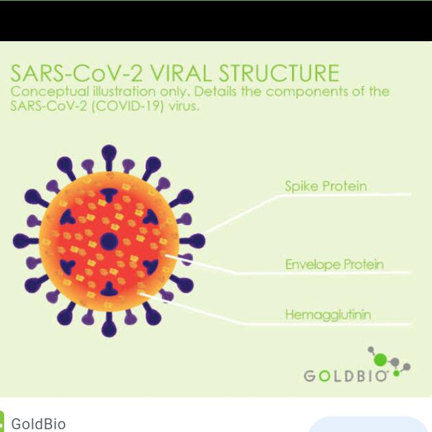 Fig. 1: Viral structure of COVID-19 causing virus (Adapted from ...
